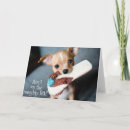 Zoek naar chihuahua puppy kaarten Humor