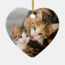 Zoek naar hang ornamenten Schattig