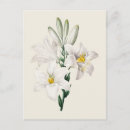 Zoek naar vintage botanisch briefkaarten Illustratie