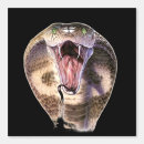 Zoek naar slangen kunst Thuisdecor