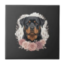 Zoek naar rottweiler tegels Grappigehond