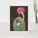Zoek naar grappige cactus kaarten Succulenten