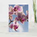 Zoek naar roze orchidee kaarten Orchideeën