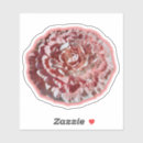 Zoek naar anjer stickers Pretty