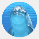 Zoek naar gelukkige dolfijn stickers Zee