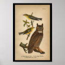 Zoek naar ornitholoog posters Ornithologie