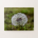 Zoek naar macro puzzels Bloem