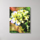 Zoek naar hydrangea kunst Elk persoon