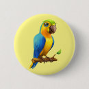 Zoek naar papegaaien buttons Voor kinderen