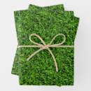 Zoek naar gras cadeaupapier groen