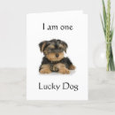 Zoek naar hond wensen kaarten Moeder