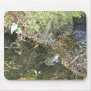 Zoek naar kikker muismatten Water