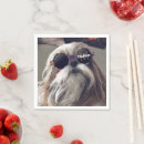 Zoek naar shih tzu servetten Gezelschapsdieren