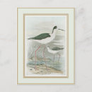 Zoek naar stilte briefkaarten Kust