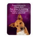 Zoek naar funny dog magneten Grappig