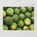 Zoek naar watermeloen briefkaarten Zomervrucht