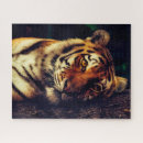 Zoek naar bedreigde dieren puzzels Wild