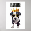 Zoek naar ironie ontwerp posters Humor