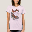 Zoek naar vlinder kleding Illustratie