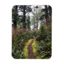 Zoek naar kaapverdië magneten Kust