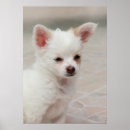Zoek naar tuin posters Schattig