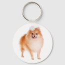 Zoek naar pomeranian hond sleutelhangers Puppy