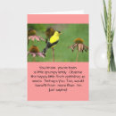 Zoek naar plaag kaarten Grappig