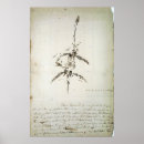 Zoek naar paleontoloog posters Prehistorisch