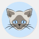 Zoek naar katten gezicht stickers Feliene