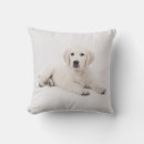 Zoek naar golden retriever kussens Puppy