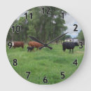 Zoek naar koeien klokken Boerderij