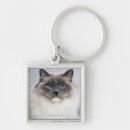 Zoek naar ragdoll sleutelhangers Dieren