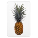 Zoek naar ananas magneten Vrucht