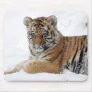Zoek naar tiger muismatten Winter