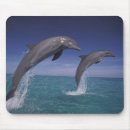 Zoek naar dolfijn muismatten Zee