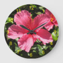 Zoek naar roze hibiscus klokken Tuin