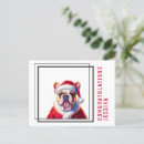 Zoek naar bulldog briefkaarten Voor haar