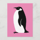 Zoek naar grappige vogel briefkaarten Schattig