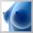 Zoek naar weefsel posters Blauw
