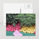 Zoek naar aardappel briefkaarten Geel