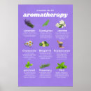 Zoek naar aromatherapie posters Massagetherapie