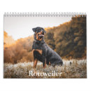 Zoek naar rottweiler hond kantoorbenodigdheden Puppy