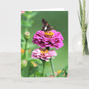 Zoek naar gespreks kaarten Voor iedereen