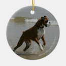 Zoek naar boxer dog ornamenten Foto