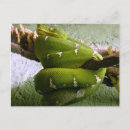 Zoek naar boa briefkaarten Natuur