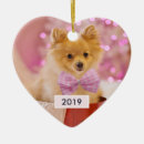 Zoek naar pleister ornamenten Schattig