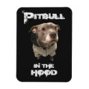 Zoek naar pitbull magneten Dieren