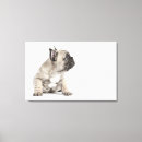 Zoek naar onschuldig fotografie Kleine bedrijven
