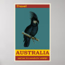 Zoek naar antiek vogels posters Vintage