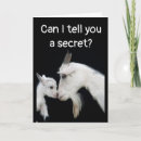 Zoek naar grote broer kaarten Voor haar